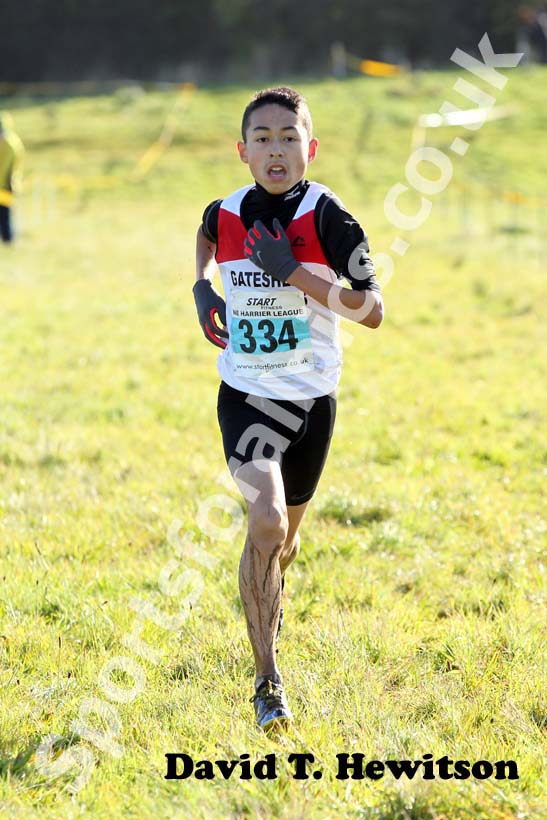 Blue 334, 2012 Start Fitness North East Harrier League, Cramington.